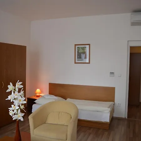 Sd阿卡德米克加尔尼酒店 2* 布拉迪斯拉发