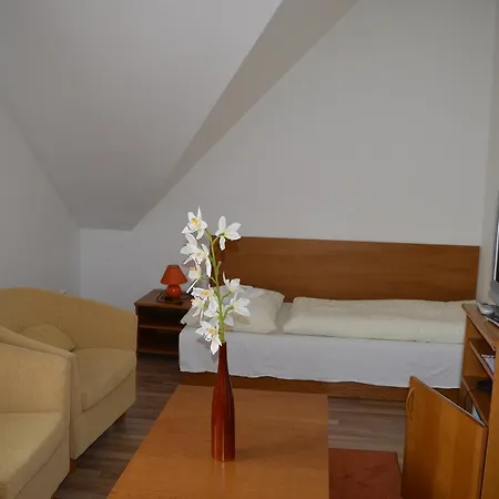 Garni Sd Akademik Hotel